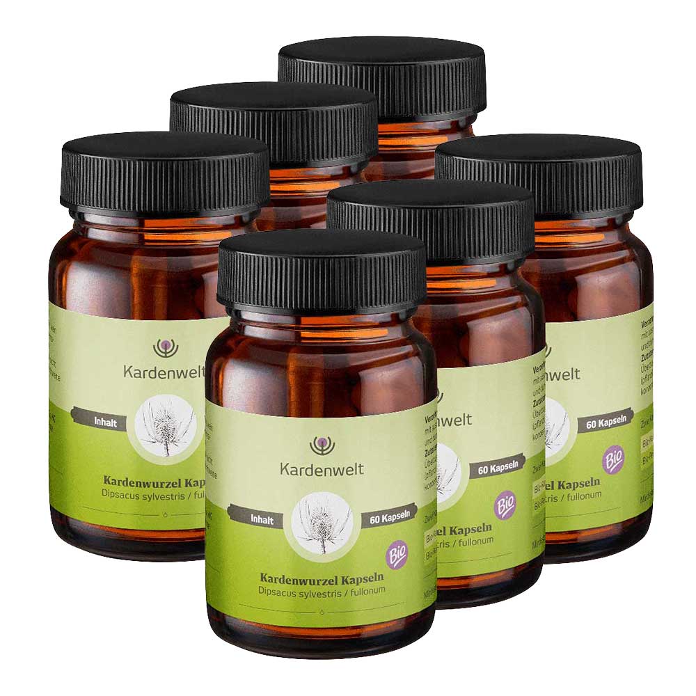 Bio-Kardenwurzel-Kapseln 6-Monats Pack